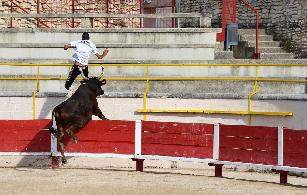 频发